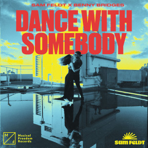 Sam Feldt的專輯Dance With Somebody