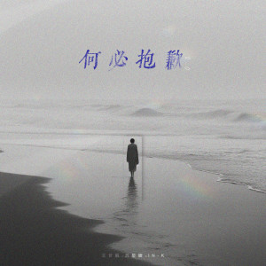 Listen to 何必抱歉2.0 song with lyrics from 王忻辰