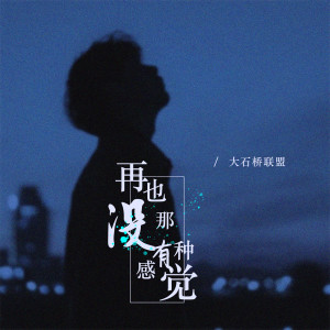 大石橋聯盟的專輯再也沒有那種感覺