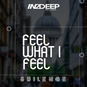 收听Shilenge的Feel What I Feel歌词歌曲