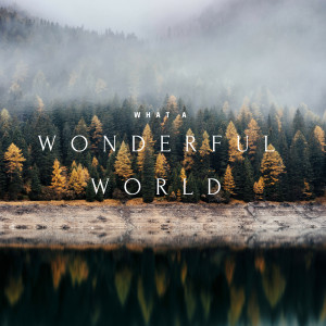 收聽Mantovani Orchestra的Barber Of Seville (Rerecorded)歌詞歌曲