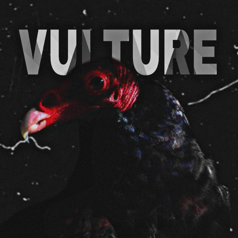 Vulture (Explicit)