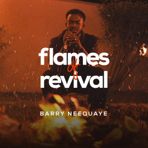 Listen to Precious Ones song with lyrics from Barry Neequaye