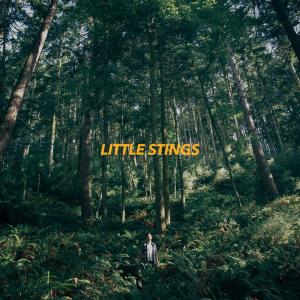 Album Little Stings from Highst