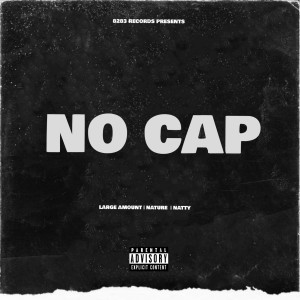 Listen to No Cap (Explicit) song with lyrics from Large Amount