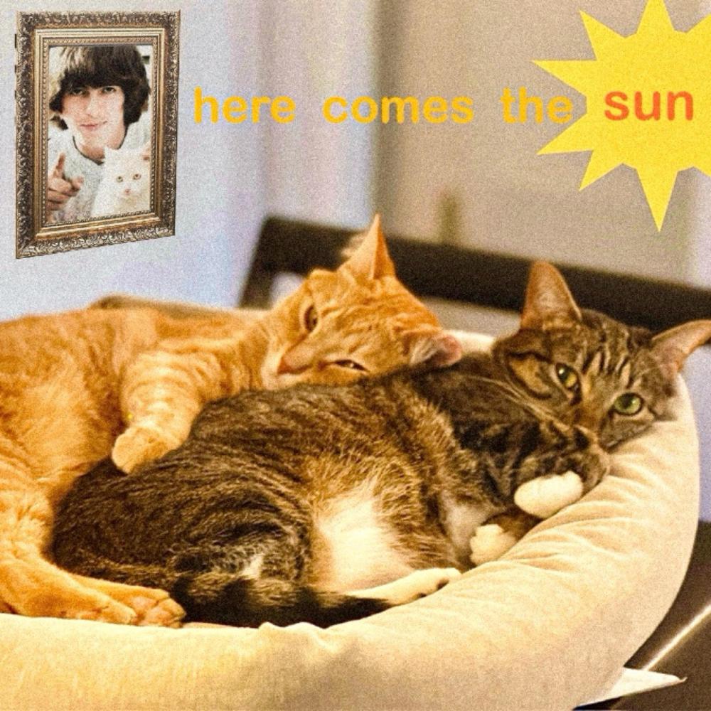 here comes the sun