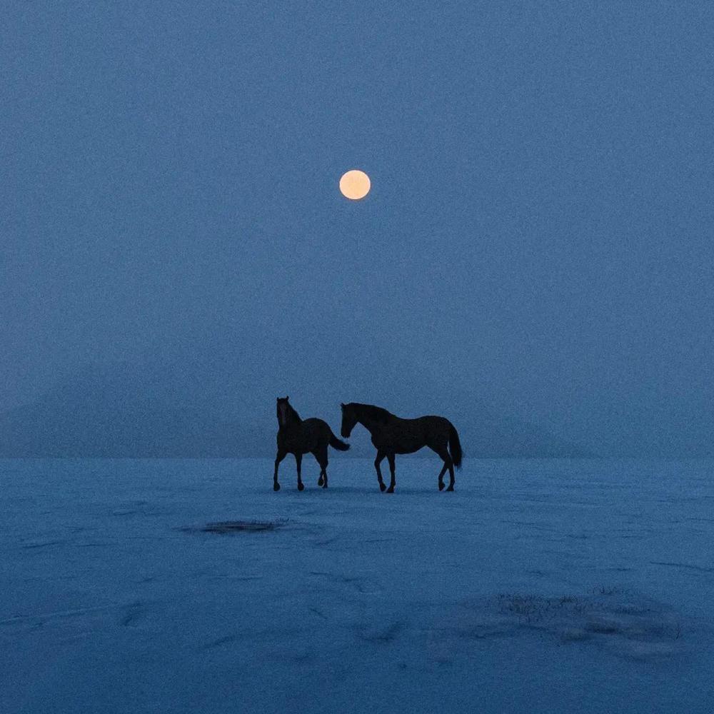 i could grab the moon for you (slowed + reverb)