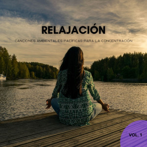 Música de relajación profunda的专辑Relajación: Canciones Ambientales Pacíficas Para La Concentración Vol. 1