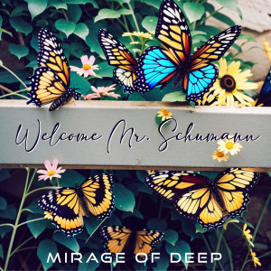 Album Welcome Mr. Schumann from Mirage of deep