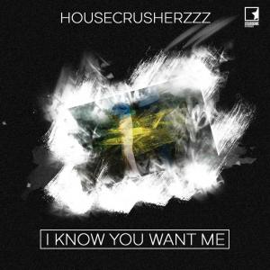 收听HouseCrusherzzz的I Know You Want Me (A.Voltage Remix)歌词歌曲