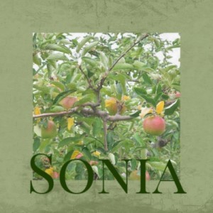 ดาวน์โหลดและฟังเพลง Con Permiso Senorita พร้อมเนื้อเพลงจาก Enrique Rodriguez