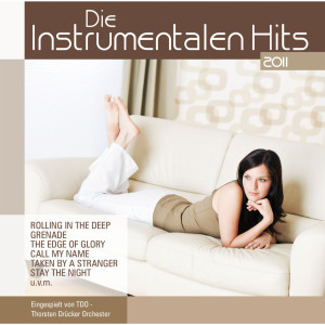 TDO - Thorsten Drücker Orchester的專輯Die Instrumentalen Hits 2011