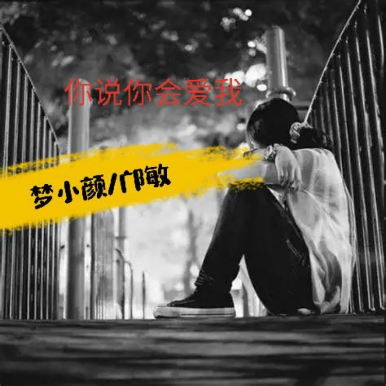 你说你会爱我 (伴奏)