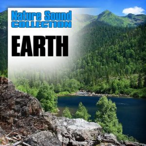 ดาวน์โหลดและฟังเพลง Natural Jungle Sounds with Insects and Wild Bird พร้อมเนื้อเพลงจาก Nature Sound Collection