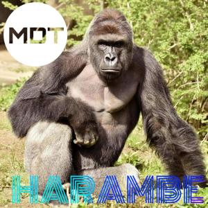 Dengarkan lagu HARAMBE nyanyian Harambé dengan lirik
