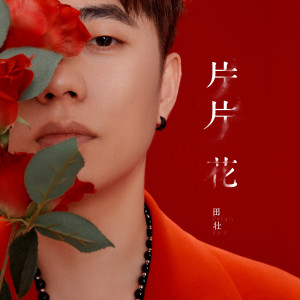อัลบัม 片片花 ศิลปิน 田壮