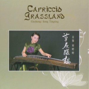 Album 草原随想 from 宋婷婷