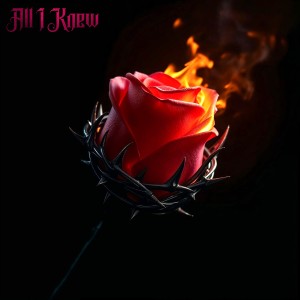 ดาวน์โหลดและฟังเพลง All I Knew พร้อมเนื้อเพลงจาก Slwmo