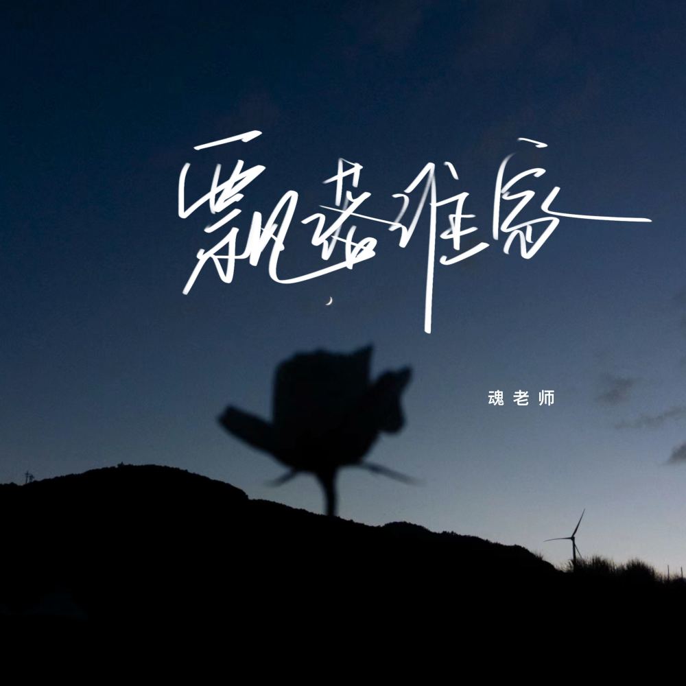 飘落谁家