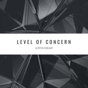 收听GnuS Cello的Level of Concern歌词歌曲