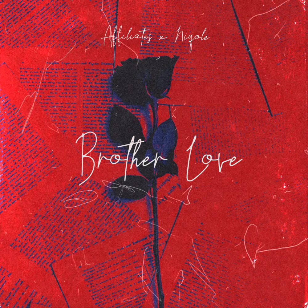 Brother Love (feat. Niqole)