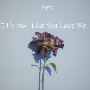 ดาวน์โหลดและฟังเพลง It's Not Like You Love Me พร้อมเนื้อเพลงจาก FPS