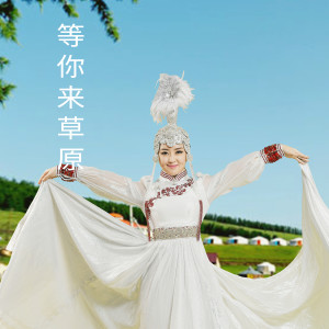 收听格格的追梦人歌词歌曲