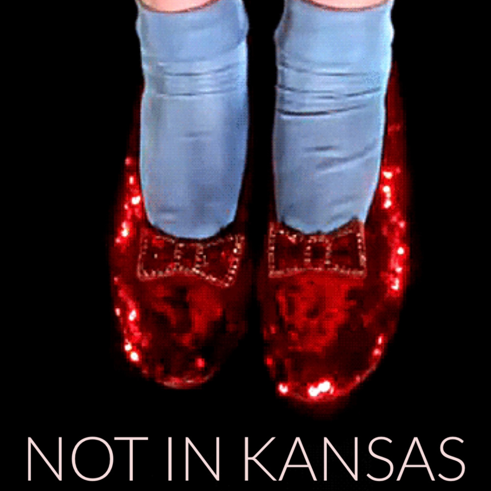 Not in Kansas (Explicit)
