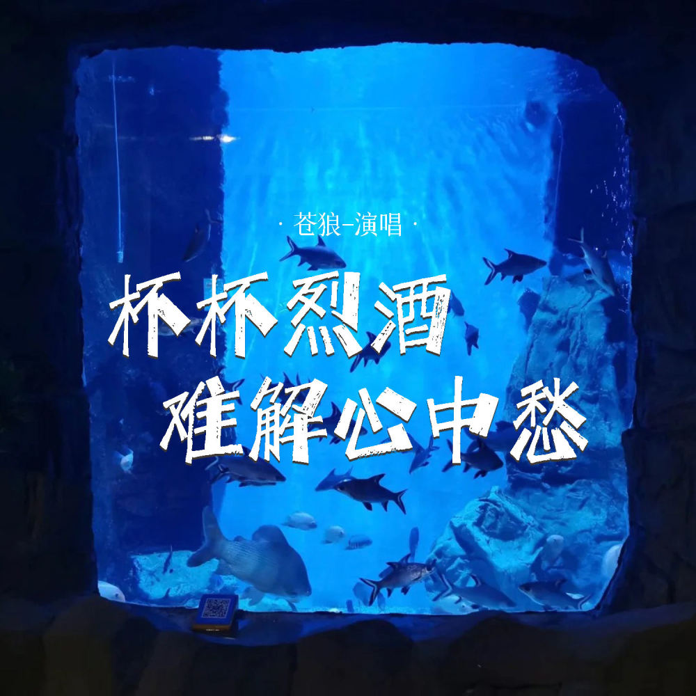 杯杯烈酒难解心中愁