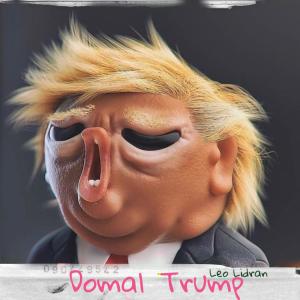 Leo Lidran的專輯Domal Trump (Explicit)