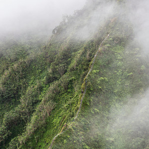 Listen to Enjoy Freedom song with lyrics from Spa Music Relaxation