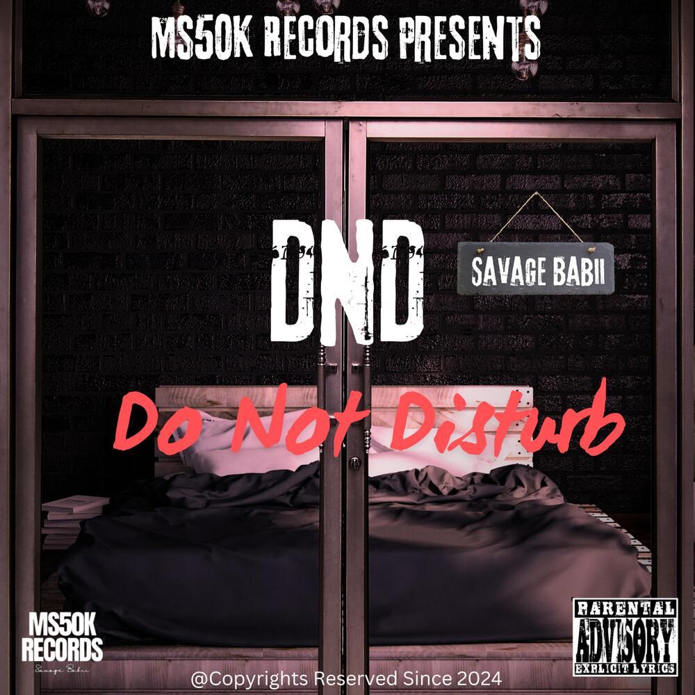 DND (Do Not Disturb) (Explicit)