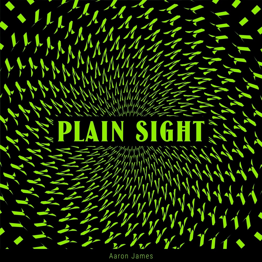 Plain Sight