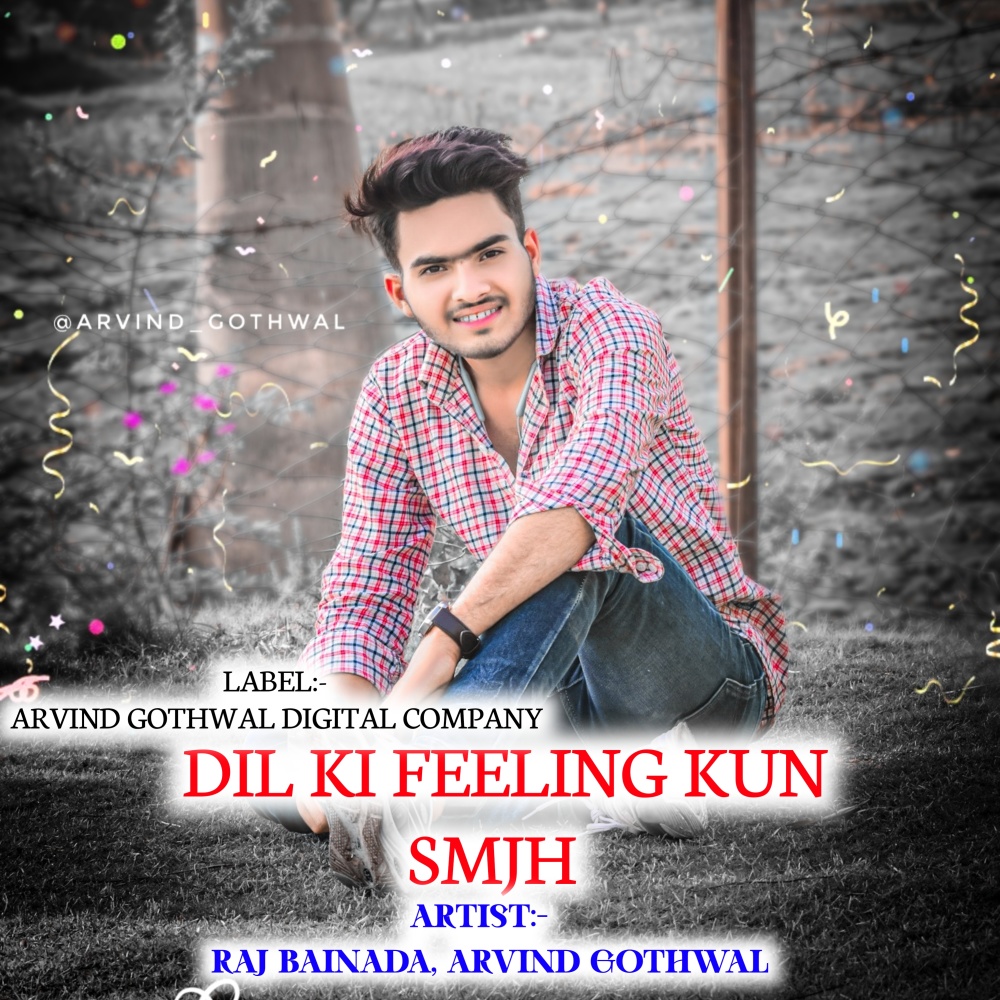 Dil Ki Feeling Kun Smjh (MEENAWATI)