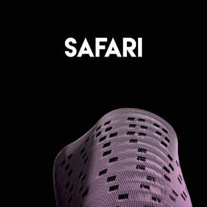 Listen to Safari song with lyrics from Boricua Boys