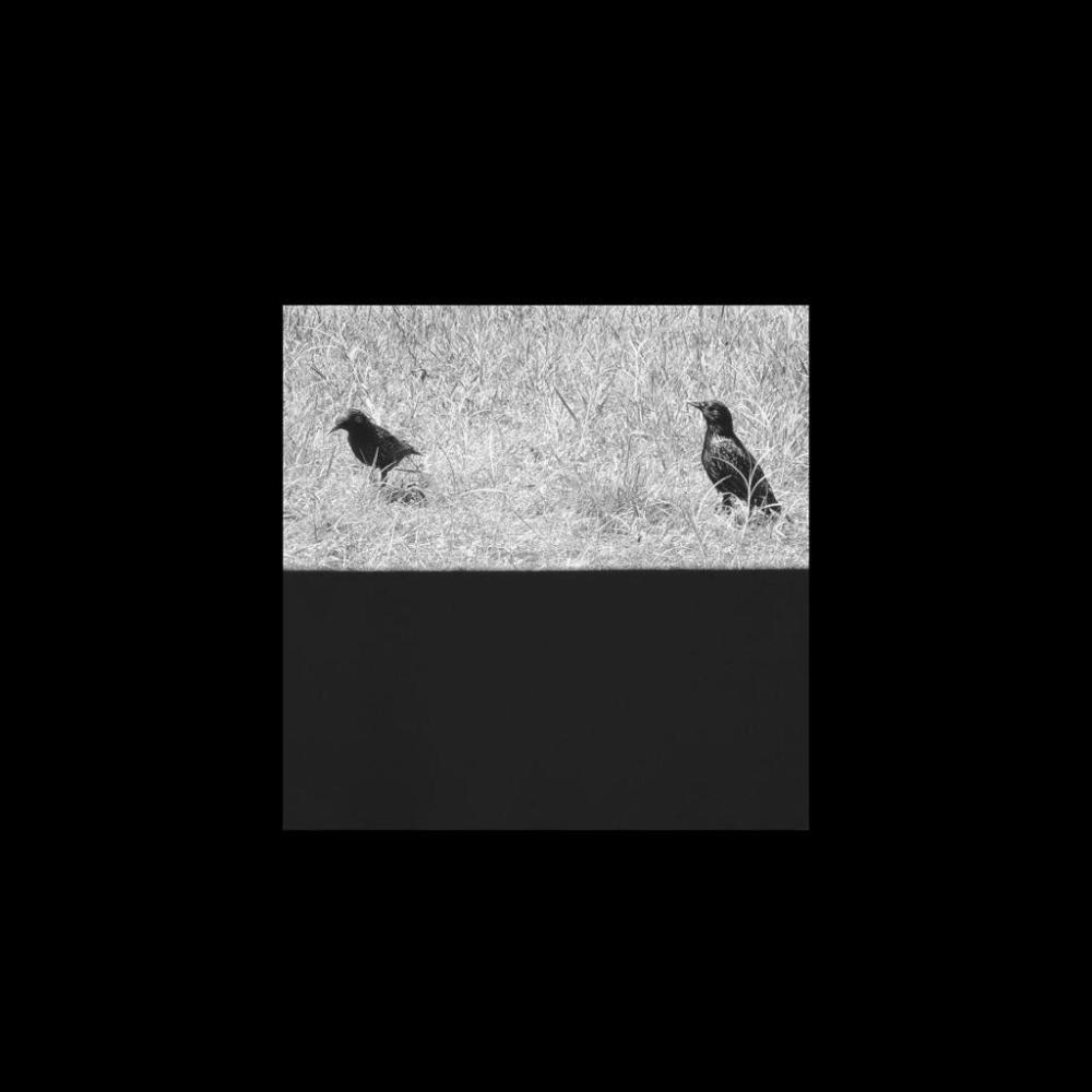 test 2 (Explicit)