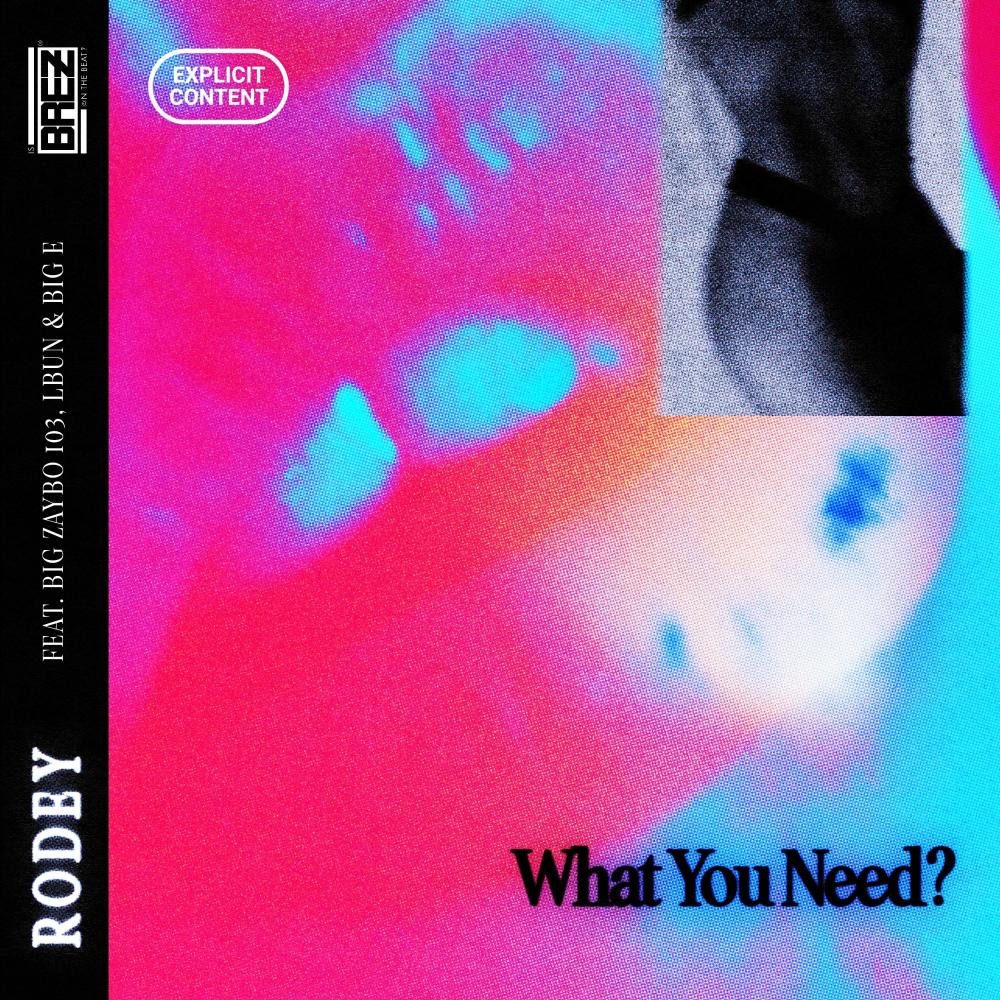What You Need? (feat. Big E & Lbun) (Explicit)