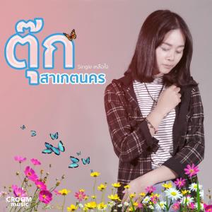 ดาวน์โหลดและฟังเพลง เหลือใจ พร้อมเนื้อเพลงจาก ตุ๊ก สาเกตนคร