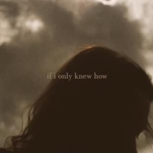 Listen to if i only knew how song with lyrics from luca.