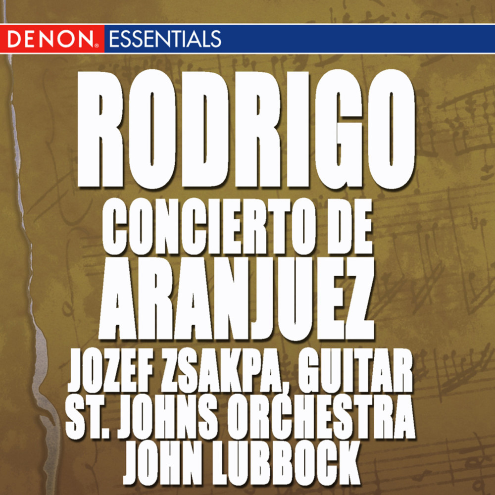 Concerto for Guitar and Strings in D Minor: II. Andante