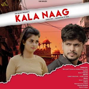Listen to Kala Naag song with lyrics from Raju Punjabi