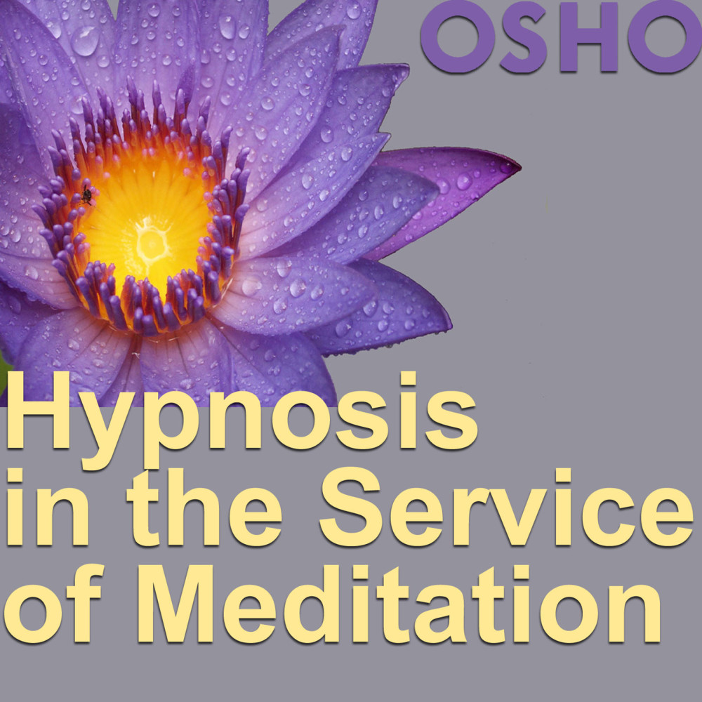 Hypnosis in the Service of Meditation (其他)