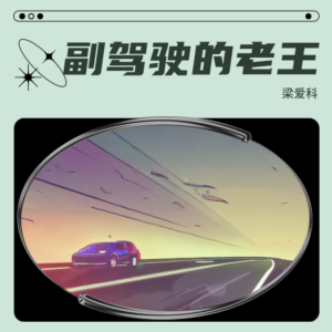 Album 副驾驶的老王 oleh 梁爱科