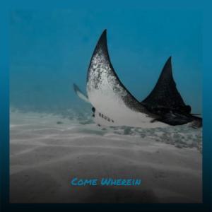 Album Come Wherein from Various