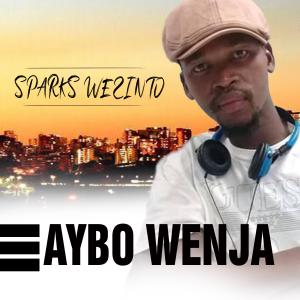 Album Aibo Wenja (Radio Edit) from Sparks Wezinto