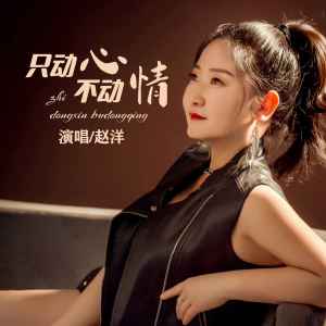收聽趙洋的只動心不動情 (DJ默涵版)歌詞歌曲