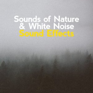 收聽Sounds of Nature White Noise Sound Effects的Umbrella歌詞歌曲