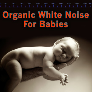 收聽Baby Care Audio Specialists的Calm Noise歌詞歌曲