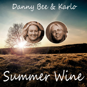 Listen to Summer Wine (Cover Version) song with lyrics from Danny Bee