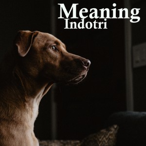 Listen to Sentimental Life song with lyrics from Indotri